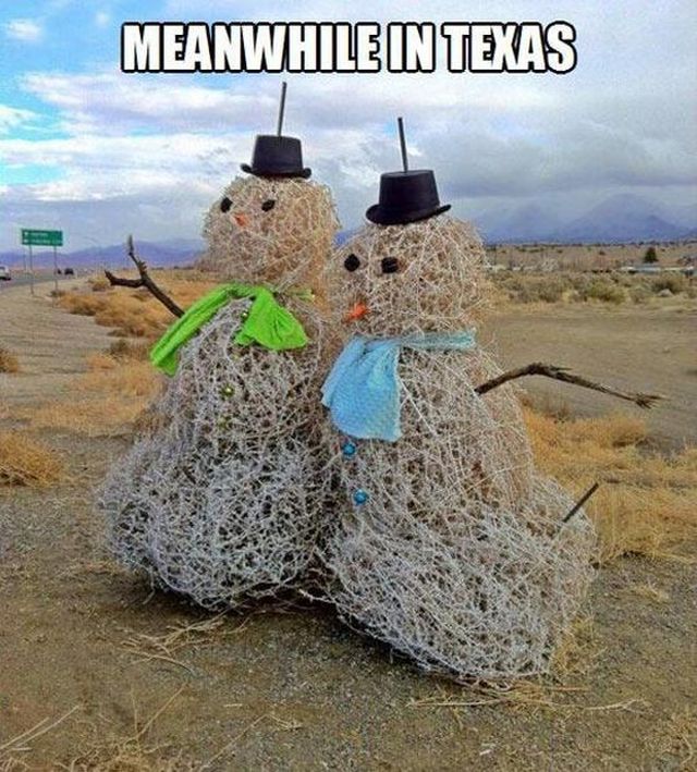 Meanwhile In The Lonestar State
