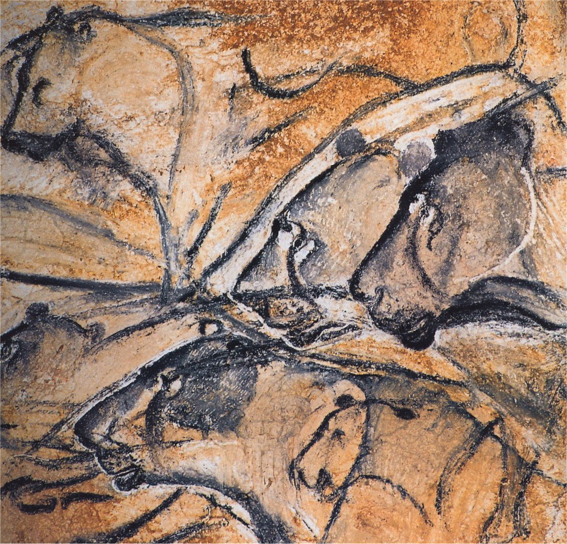 These lions found in a cave in France in 1994 are 32,000 years old, and are believed to be the oldest paintings ever discovered