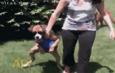Classic Funny Home Video GIFs