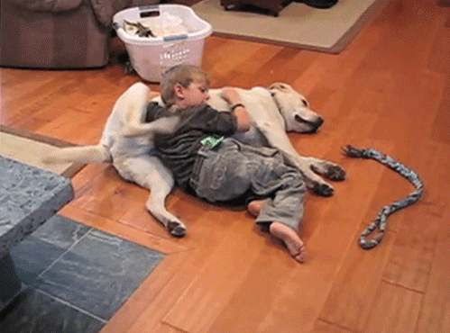 Classic Funny Home Video GIFs