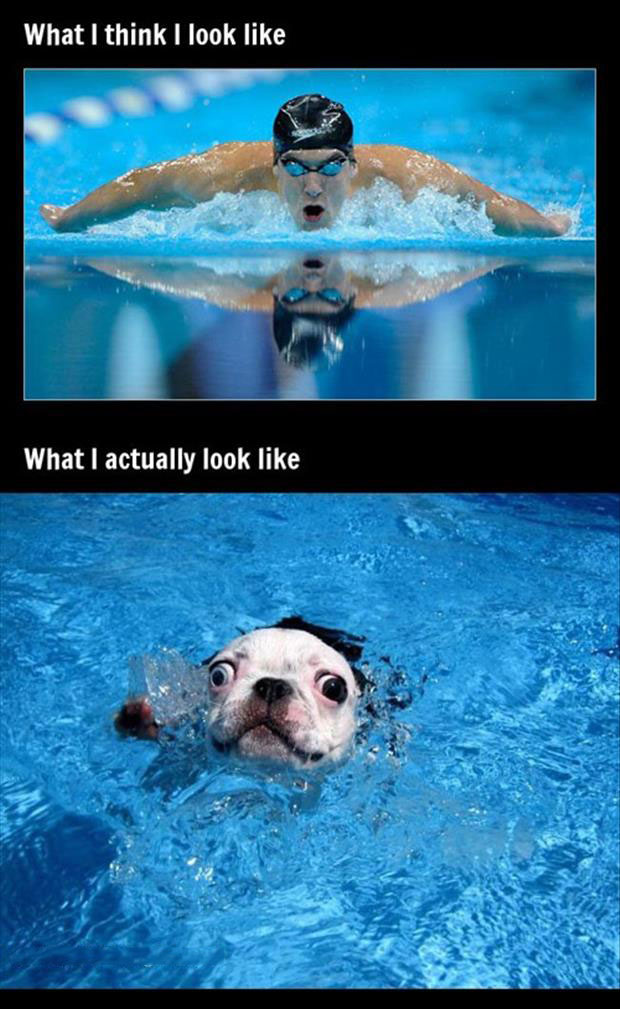swimming funny - What I think I look What I actually look