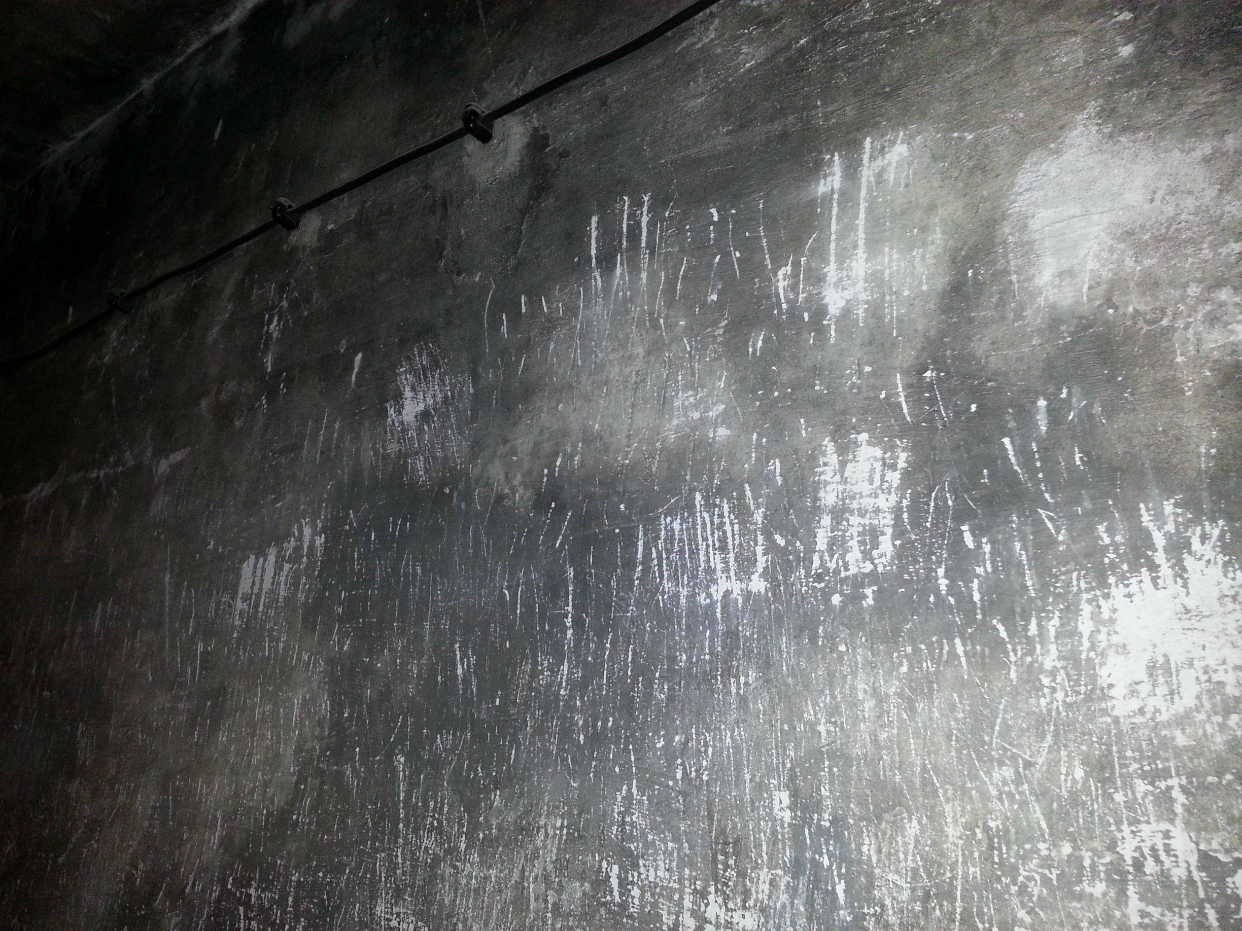 Scratch marks inside an Auschwitz gas chamber