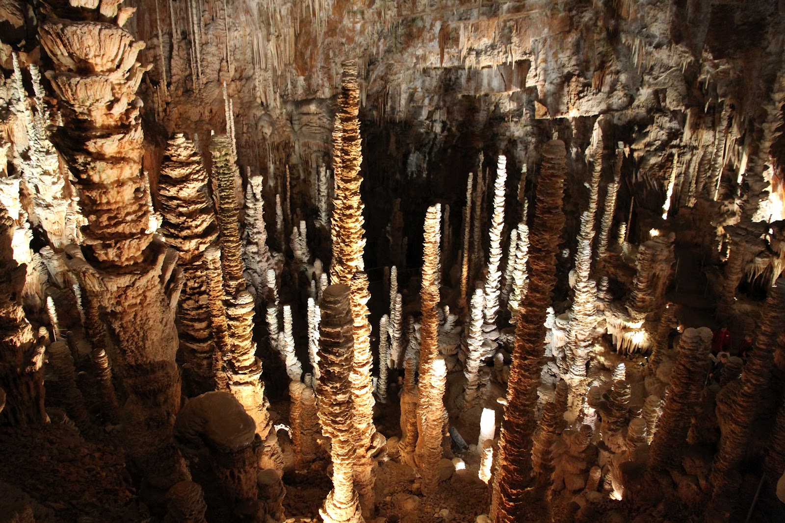 Aven Armand France- If you dare to venture 100 meters underground, the Aven Armand will make it worth your while. It boasts over 400 unique types of stalagmites, including the largest one known in the world, which stands at nearly 100 feet tall.