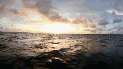 A Collection Of Serene GIFs