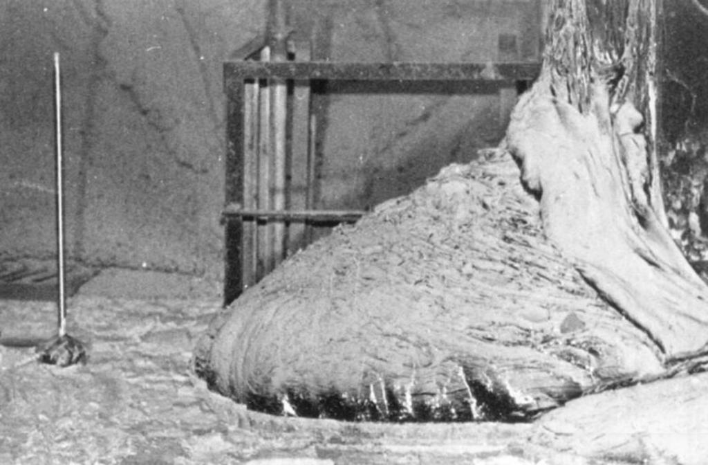 The "Elephants foot". This is a photograph of Chrenobyl's reactor after the meltdown. Many people died to get this picture taken. Today it lives on as a real life medusa having killed all who saw it in person.