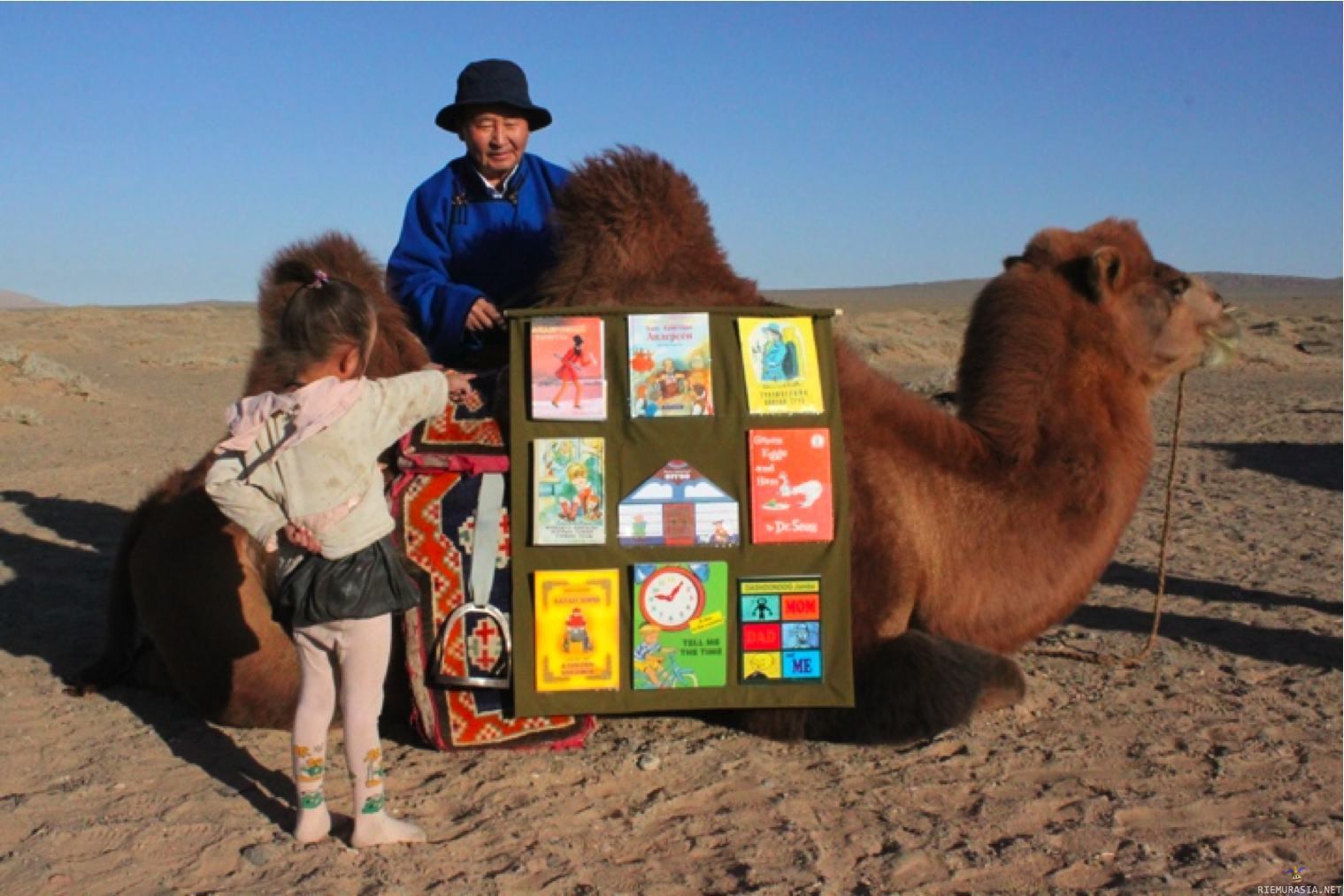 Traveling camel library in the Gobi Desert. His name is Dashdondog Jamba. He's a Mongolian writer, poet, librarian, translator and storyteller who has dedicated his life to making sure that children in Mongolia have access to books.