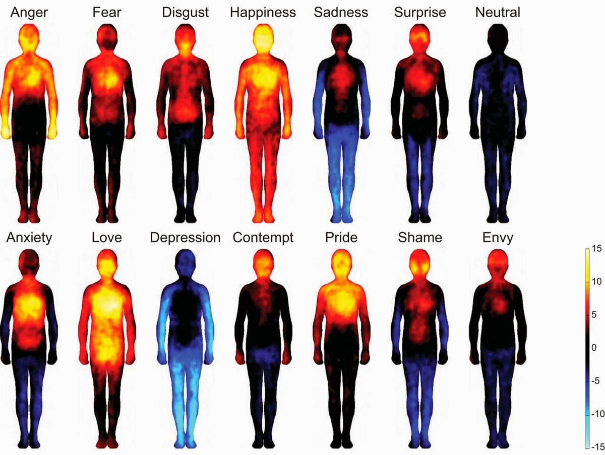 Body maps showing where we feel various emotions