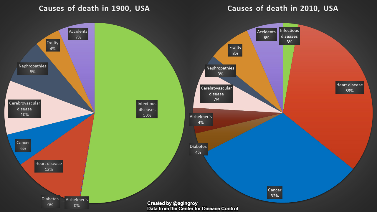 Then and Now  Comparing the causes of death in 1900 vs. 2010