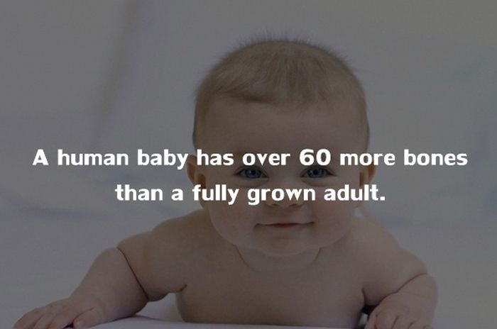 20 Amazing Facts About The Human Body