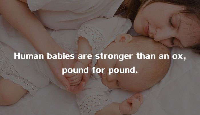 20 Amazing Facts About The Human Body