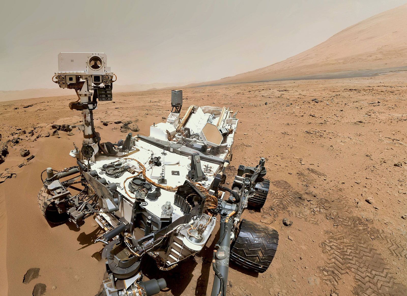 Martian Selfie