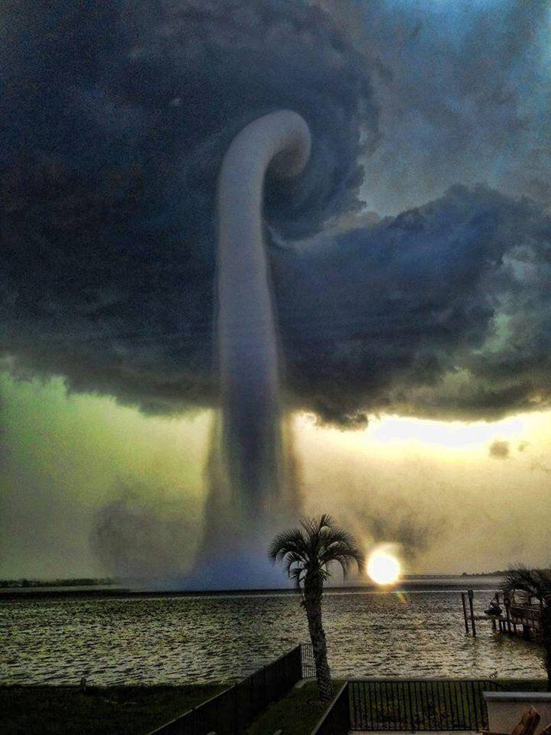 perfect timing tampa bay water spout