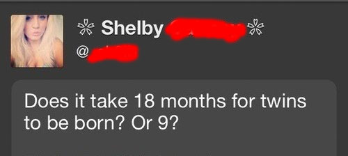 stupid but smart questions - van het Shelby Does it take 18 months for twins to be born? Or 9?