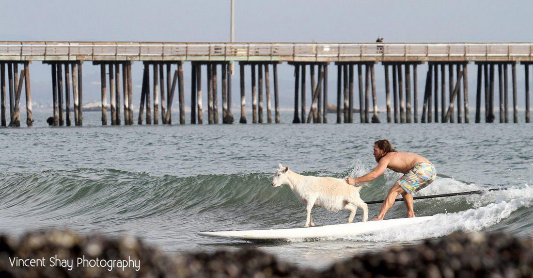 When Going To The Beach Goes Wrong