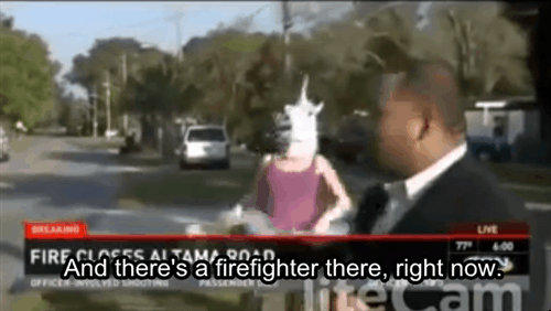 photobomb news blooper unicorn - FIRAnd there's a firefighter there, right now. lc