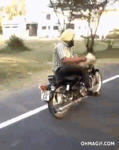 funny motorcycle gif - Ohmagif.Com