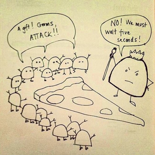 You strongly embrace the five-second rule.