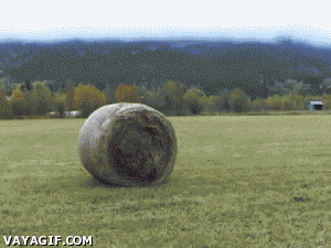How hay bales get wrapped