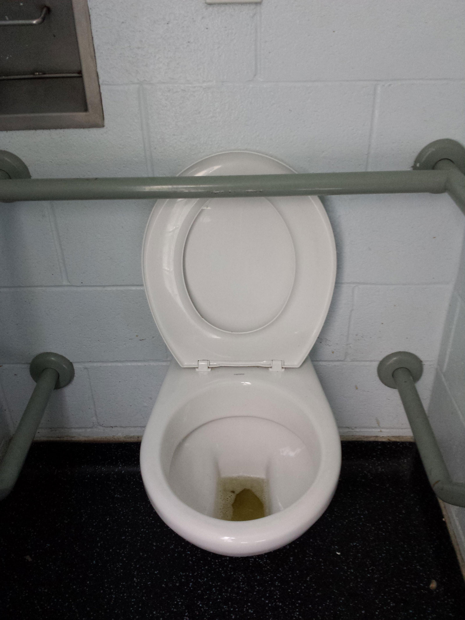 This useless toilet seat