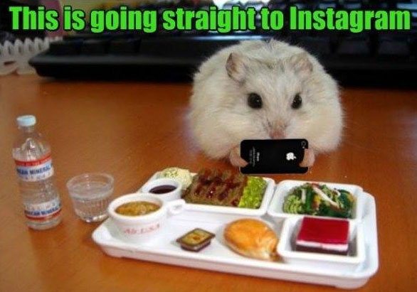 13 Funniest Moments In Instagram History