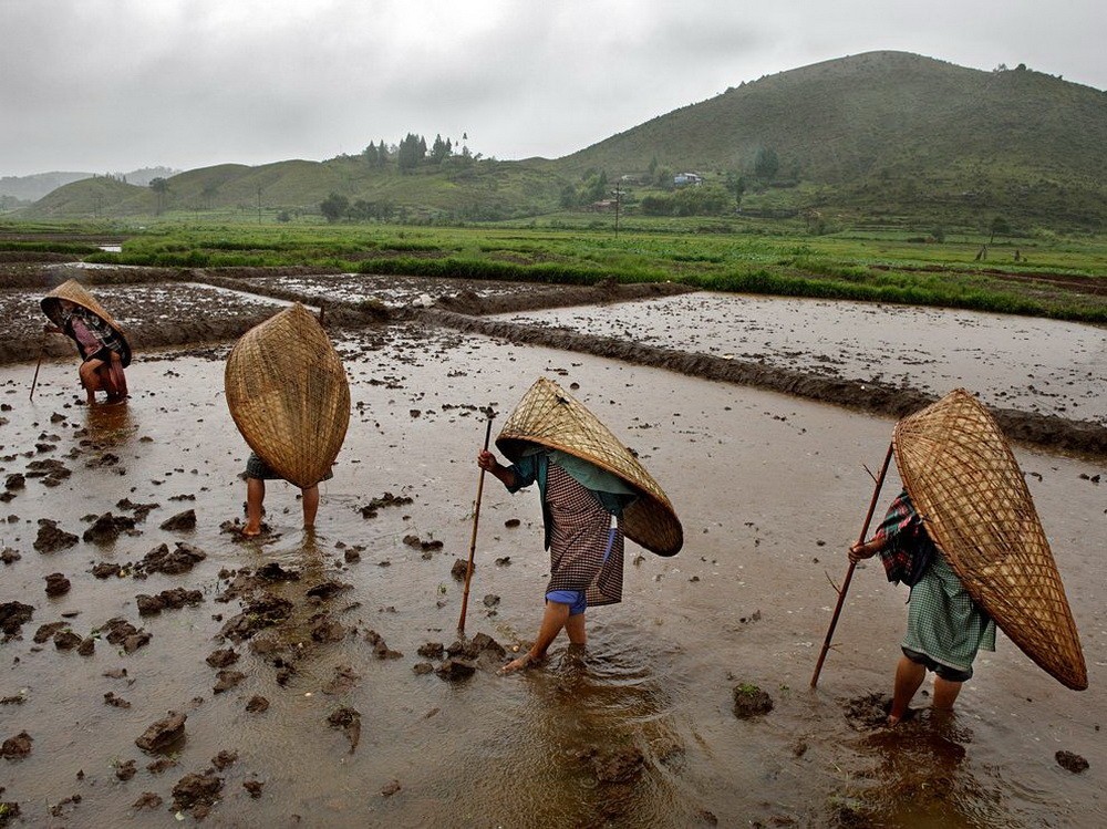 THE WETTEST SPOT ON EARTH- Rainwise, anyway. In Mawsynram, India, it rains an average of 467.35 inches per year, and with a record of 1000 inches in 1985.