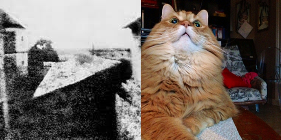 Every two minutes, we take as many photos as all of humanity took during the 1800s- On the left is the first photograph ever taken, 1826. View from the Window at Le Gras by French inventor Joseph Nicephore Niepce. On the right is a cat who accidentally took a picture of itself, 2013. It's estimated that in 2014, humans will take 880 billion photos, not including cats. In fact, 10 percent of all the photos ever taken were taken in the past 12 months.