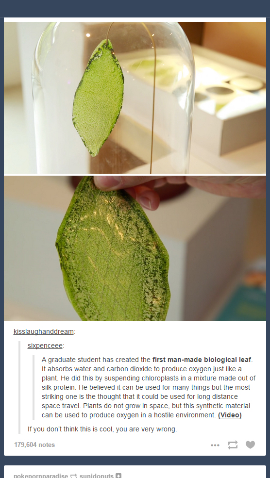 First Man-Made Biological Leaf.