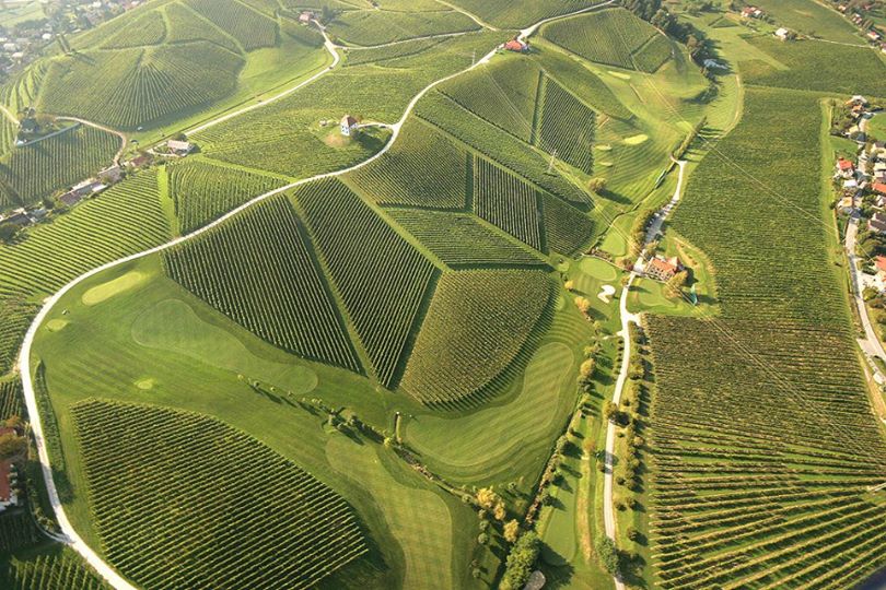 These vineyards in Slovenia.