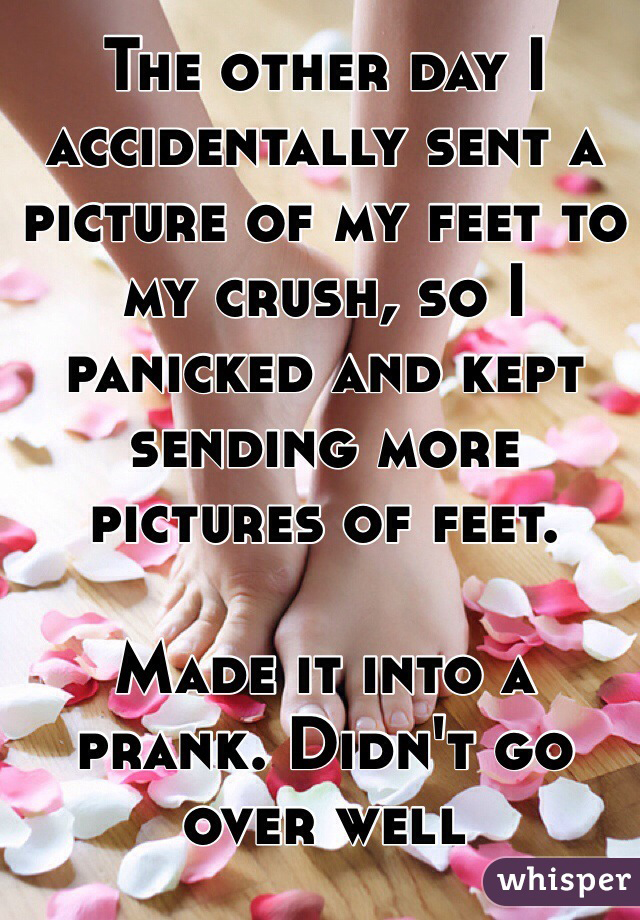 whisper - petal - The Other Day 1 Accidentally Sent A Picture Of My Feet To My Crush, So I Panicked And Kept Sending More Pictures Of Feet. Made It Into A Prank. Didn'T Go Over Well whisper
