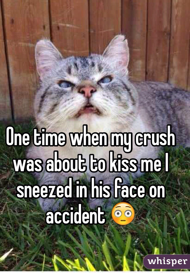 whisper - cat caught in the middle of sneezing - One time when my crush was about to kiss me! sneezed in his face on accident whisper