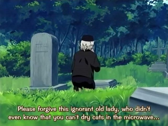 26 Of The Most WTF Anime Subtitles Of All Time - Funny Gallery