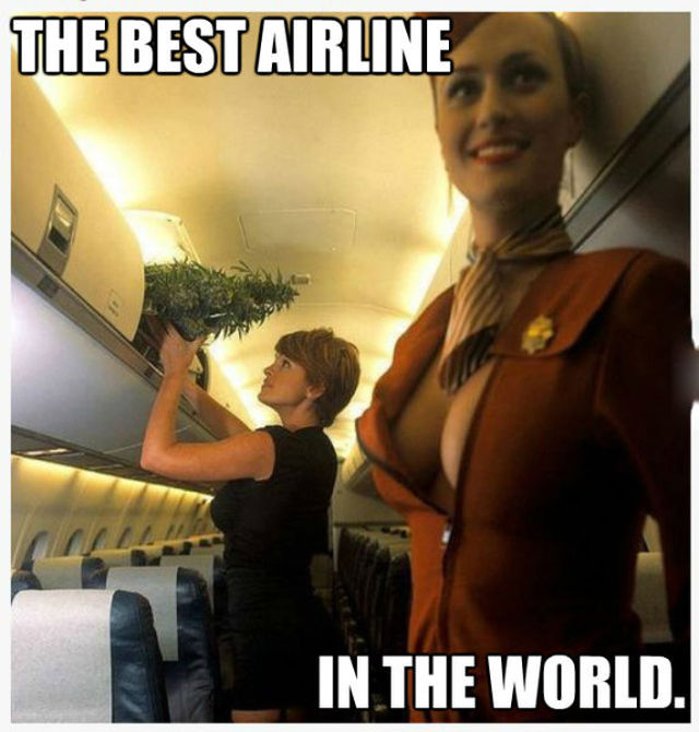 meme - Social networking service - The Best Airline In The World.