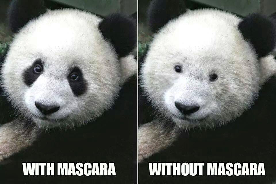 giant panda - With Mascara Without Mascara