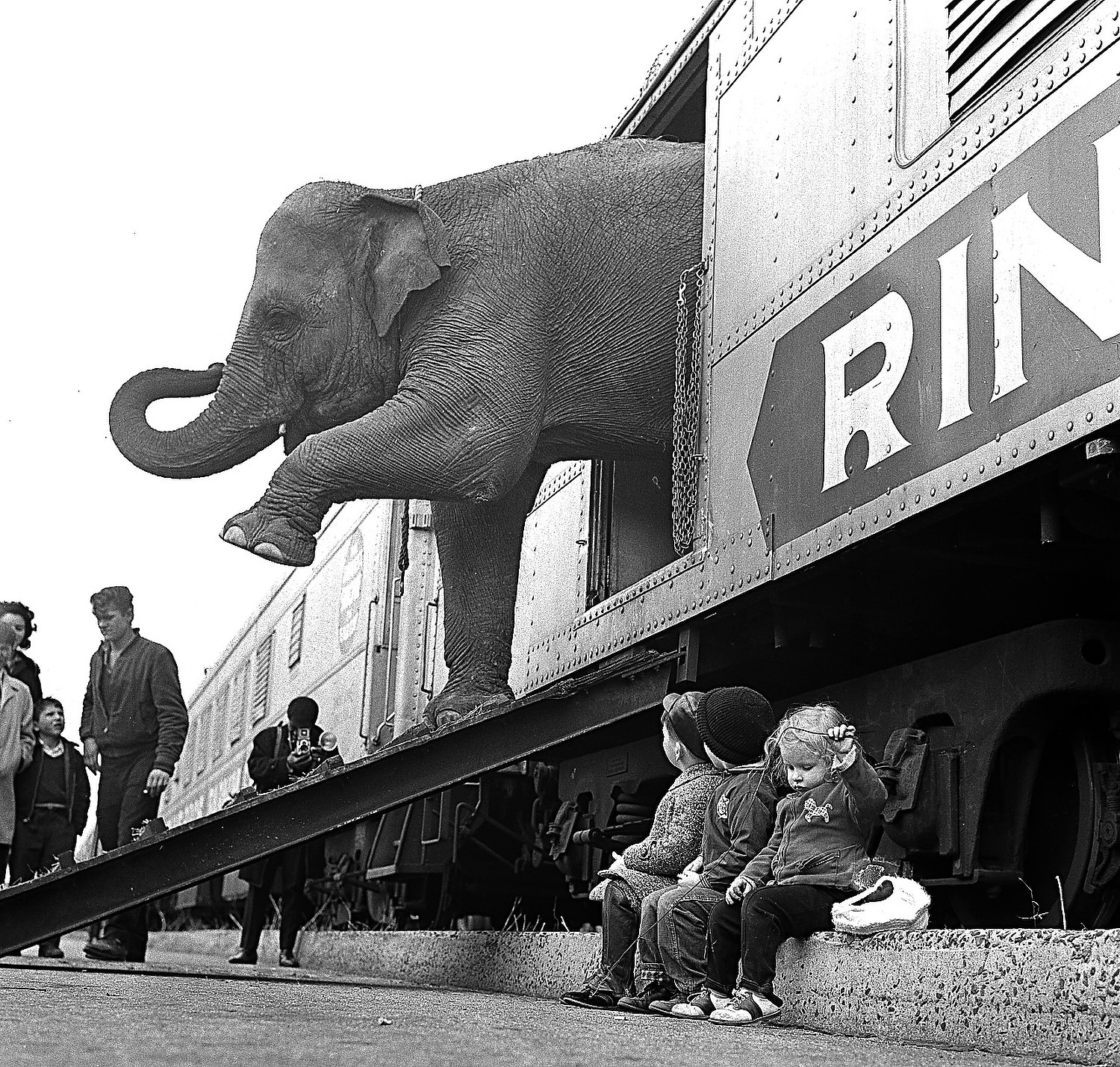 A Ringling Brothers Circus elephant walks out of a train car as young children watch in the Bronx railroad yard in New York City, April 1, 1963.