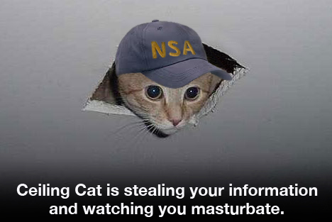 Ceiling Cat is stealing your information...and watching you masturbate.