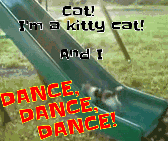 Dancing Kitty.