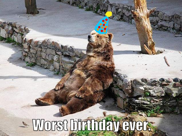 A bear with a party hat contemplates the meaning of life and existentialism after his birthday party does not go to plan.