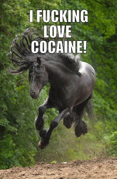 coke horse