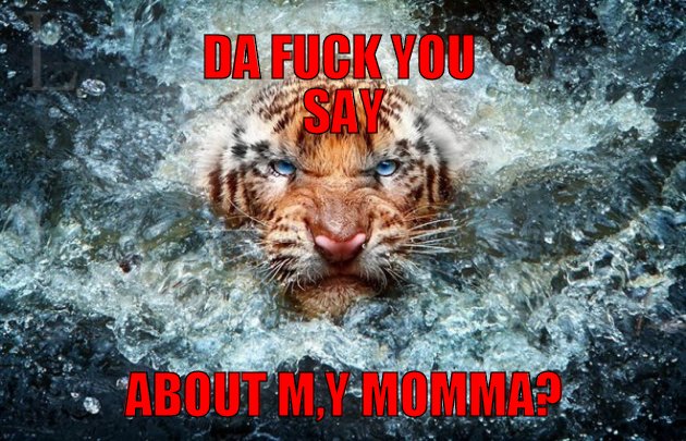 dont talk shit about tigers momma
