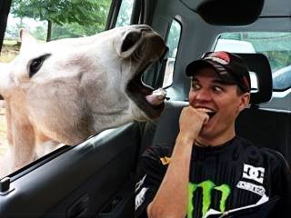 Photoshop Contest #82 Knuckle Mouth + Donkey Kid.