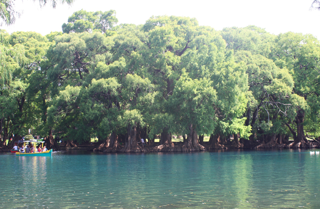 Since swimming is not allowed in the main lake, the water is a beautiful hue of blue, but with so many trees, the water begins to reflect a green-like color when the sun is high in the sky.