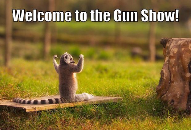Welcome to the Gun Show!