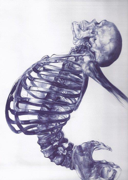 art skeleton drawing