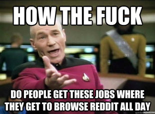 the best Picard Meme's