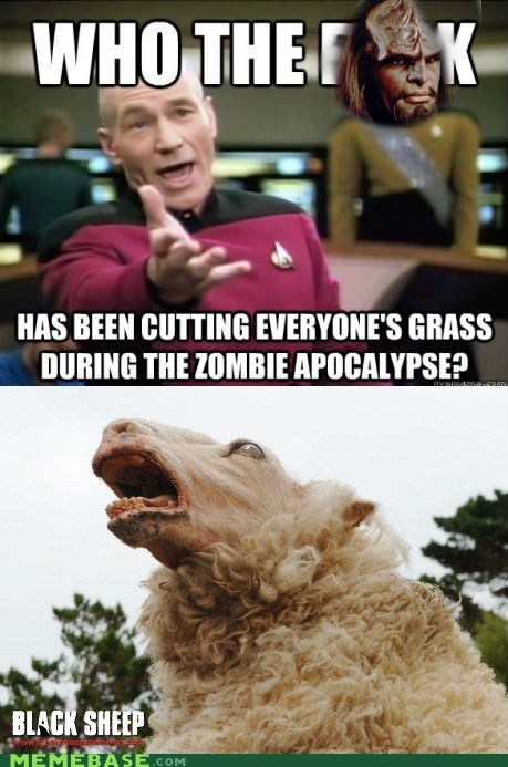 the best Picard Meme's