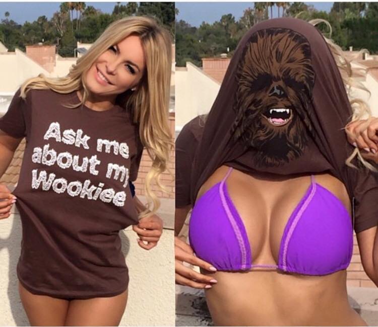 Chewbacca Never looked better!