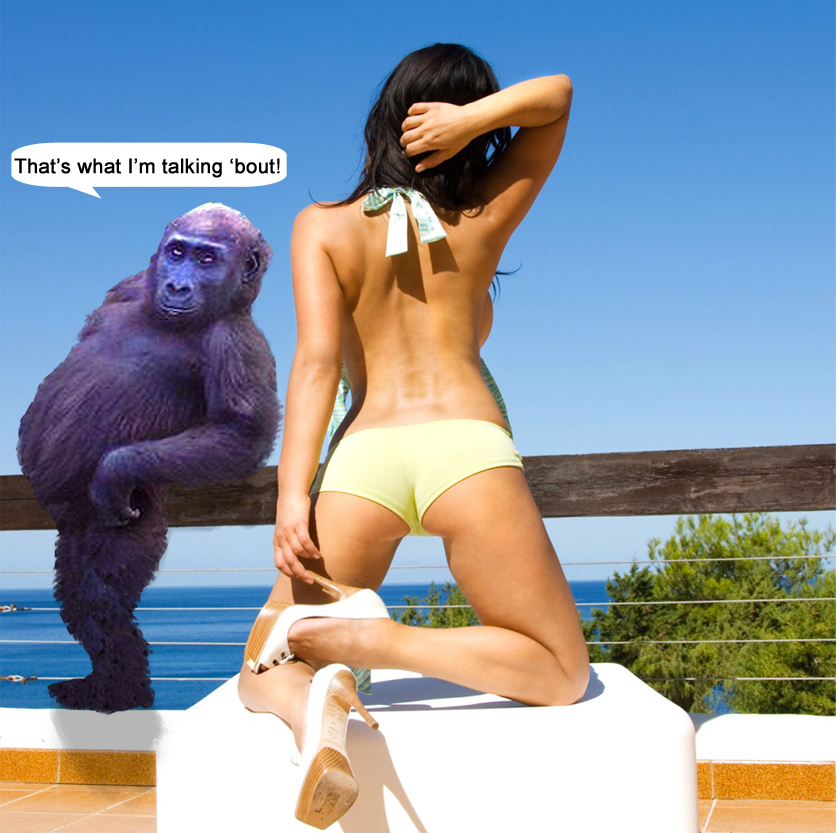 Ape looking on