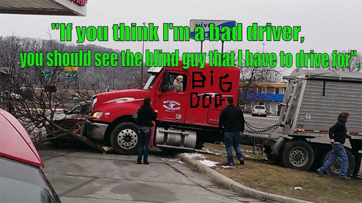Big Dog Trucking