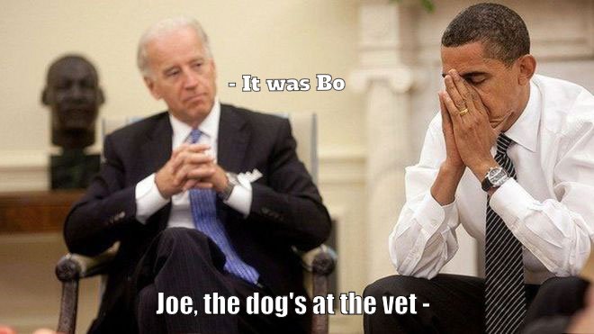 Presidential dog may be Republican.