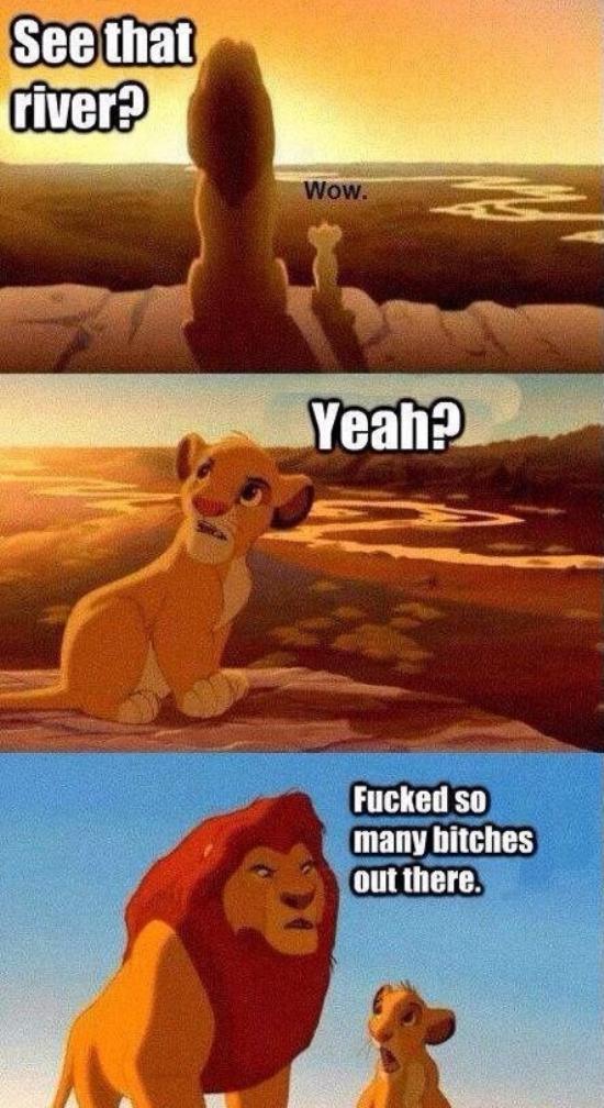 lion king meme - See that river? Wow. Yeah? Fucked so many bitches out there.